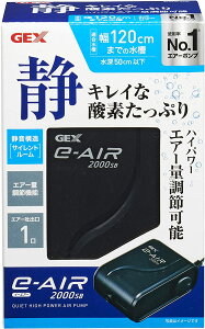 GEX(WFbNX) e`AIR 2000SB (GA[|v)
