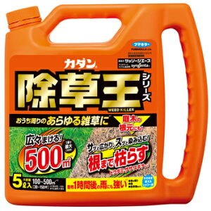�J�_�� �������V���[�Y �U�b�\�[�W�G�[�X 5L