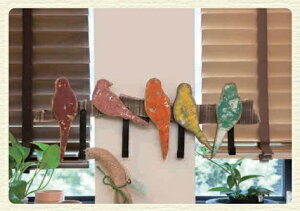 Z[I AeB[NAj}tbN (MA54)