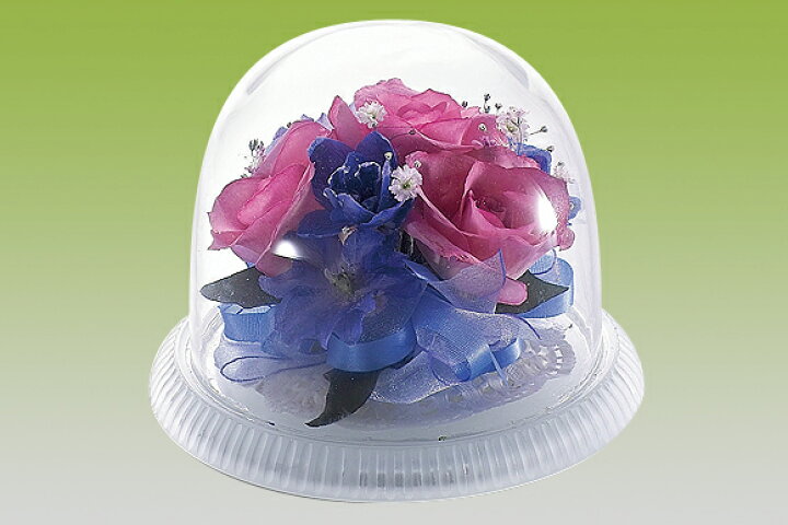 ポイント最大25倍 豊田化工 シリカゲル ドライフラワー用