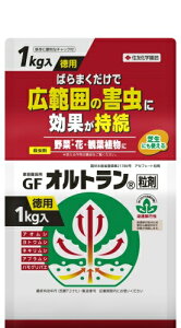 ZFw| ƒ뉀|pGFIg 1kg