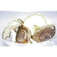 中国産 乾椎茸(しいたけ) 香信 (菌床) 1kg シイタケ