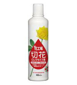 ZFw| ԍH ؉ԃOCtt 480ml