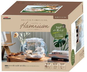 DoggyMan(hM[}) nE@nX^[̎Zbg