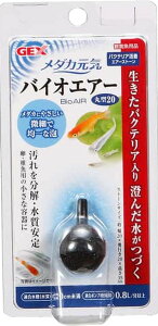 GEX(WFbNX) _JC@oCIGA[ی^20