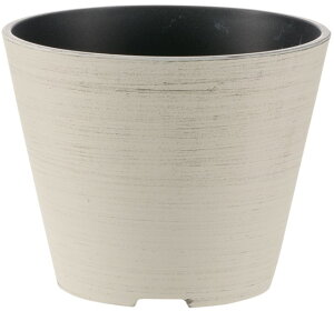 ʌIb`F O[j[ |bg 6@AC{[