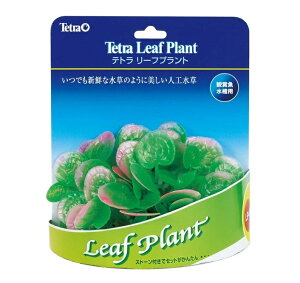 ̔iITetra(eg) [tvg LP-8 (2503)