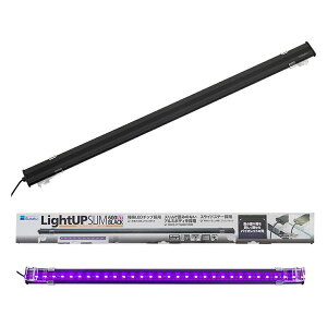 ̔iI  CgAbvX 600VT ubN (2511)