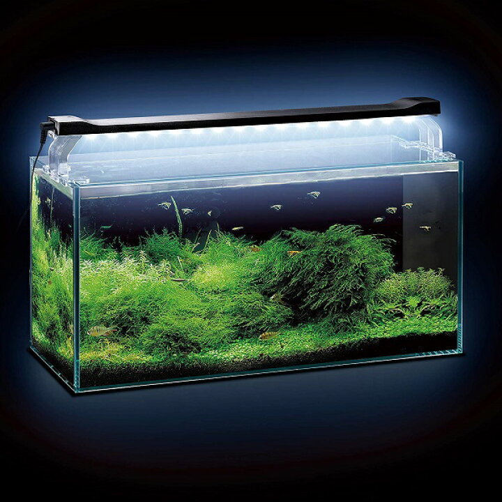楽天市場 Gex ジェックス クリアled Power Slim 450ブラック 観賞魚用ライト ブラック 45cm水槽用 奥行スリム5cm アイム
