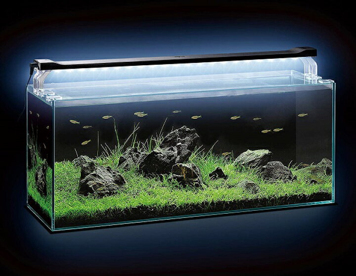 楽天市場 Gex ジェックス クリアled Power Slim 600ブラック 観賞魚用ライト ブラック 60cm水槽用 奥行スリム5cm 北海道 東北 沖縄地方は別途送料あり アイム 楽天市場 Gex ジェックス クリアled Power Slim 600ブラック 観賞魚用ライト ブラック 60cm水槽用 奥行スリム5cm 北海道 東北 沖縄地方は別途送料あり アイム