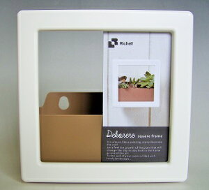 ݌ɌIb`F fRA XNGAt[ 15 zCgy2208z