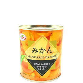 天長食品 みかん 缶詰 5号