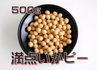 愛晃 満天いかピー 500g 豆菓子 おつまみ