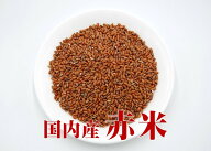 赤米 国内産 500g 【メール便対応商品・メール便の場合他の商品と同梱不可】(あかまい あかごめ 古代米 …