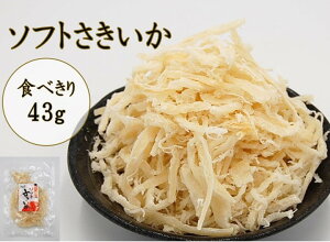 W \tg 43gi\tgTLCJ  ܂  炩 ܂  j