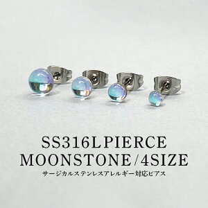 sAX fB[X AM[Ή T[WJXeX SS316L [Xg[ 1 3mm 4mm 5mm 6mm 4TCY 2Zbg p X^bhsAX t@[XgsAX ZJhsAX ς