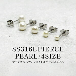 sAX fB[X p[ ^ AM[Ή T[WJXeX SS316L 1 ꗱ 3mm 4mm 5mm 6mm 4TCY 1yA p X^bhsAX t@[XgsAX ZJhsAX ςȂ 
