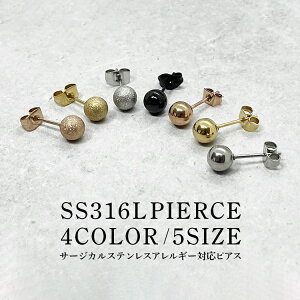 sAX fB[X AM[Ή T[WJXeX SS316L 1 ꗱ 2.5mm 3mm 4mm 5mm 6mm 5TCY {[  2Zbg p X^bhsAX t@[XgsAX ZJhsAX 