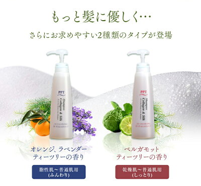 楽天市場 送料無料 トリートメント不要 アイナボーテpptコラーゲン シルクシャンプー Pptヘアエマルジョン5 5セット ヘマチン ペリセア リピジュア配合 ノンシリコン シャンプー アイナスタイル