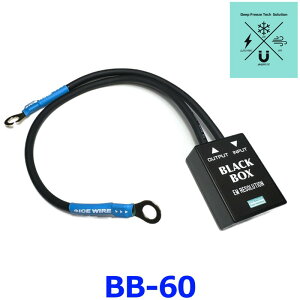 ICE FUSE ACXt[Y BLACK BOX BB-60 ÓdC(ESD΍) mCYtB^[(EMIEEMS)