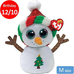 ty Beanie Boo's r[j[u[Y Misty ~XeB Ⴞ ʂ NX}X MTCY 15cm a:1210 ^C