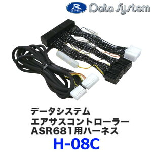 Datasystem/f[^VXeGATXRg[[ASR681pn[lXyH-08Cz(NTXRX350/RX450hj{H-08C[1450]}