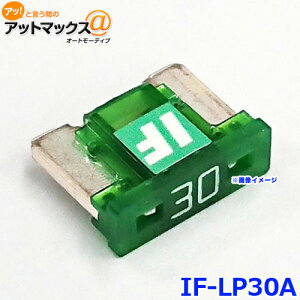 ICE FUSE ACXt[Y IF-LP30A ACXq[Y 30AyA LP LowPro [vt@C w^Cv