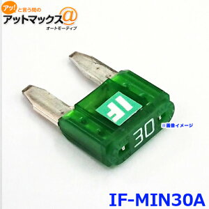 ICE FUSE �A�C�X�t���[�Y IF-MIN30A �A�C�X�q���[�Y 30�A���y�A MINI �~�j���^�^�C�v
