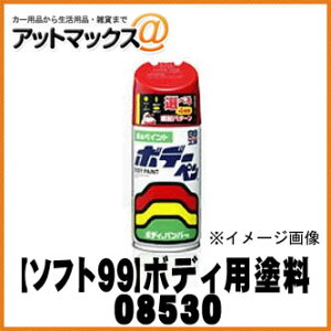 �ySOFT99 �\�t�g99�z99�H�[ �{�f�[�y�� �s���A�z���C�g / 300ml �yM530 m-530�z�y08530�z�}�c�_��A3D {08530[9980]}