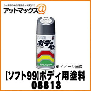 ySOFT99 \tg99z99H[ {f[y VL[Vo[M / 300ml yS813 S-813zy08813zXYLZ2S {08813[9980]}