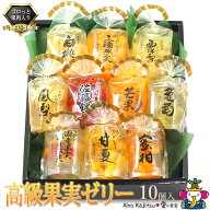 あす楽対応 お中元 夏 フルーツ ゼリー ギフト【果実ごろっと高級 ゼリーセット 10個 (Z10-1) 】常温保存…