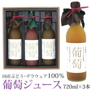 yŋzzʏ`100 W[X3{Zbg YԂǂEfEFA720ml×3{ t[c Mtg ~ hV̓ ފ lߍ킹 v[g yY a j j oYj