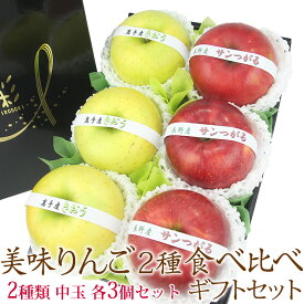美味 りんご 2種 食べ比べ ギフト セット 中玉6個 リンゴ 林檎 フルーツ ギフト プレゼント 手土産 誕生日 お祝い 内祝い 出産内祝い 贈り物 お礼 御見舞 退院祝い 快気祝い 景品 フルーツ 果物 お供え お返し