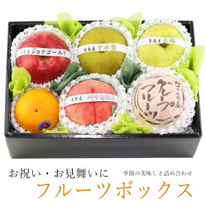 yŋzzG  t[c {bNX i摜MT[rXtjΕ N t[c Mtg Zbg lߍ킹 荇킹 yY a j j oYj j