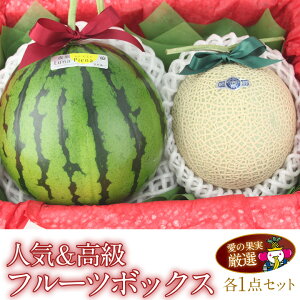 【指定不可|入荷次第発送】人気&高級 フルーツ ボックス (高知産) ルナ ピエナ 小玉 すいか (静岡産) クラウン マスクメロン ギフト セット 盛り合わせ プレゼント お誕生日 お祝い 内祝い