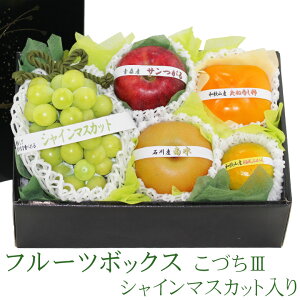 G߂ t[c {bNX (VC}XJbg [ ) Â3 t[c Mtg Zbg Ε N nEB lߍ킹 v[g a j j j oYj 