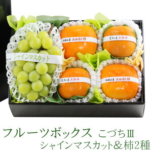 G߂ t[c {bNX (VC}XJbg`) Â3 t[c Mtg Zbg lߍ킹 v[g a j j j oYj j 蕨   