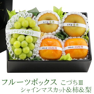 G߂ t[c {bNX (VC}XJbg`E) Â3 t[c Mtg Zbg nEB lߍ킹 v[g a j j j oYj j 蕨 