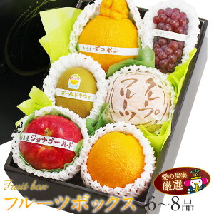 yŋzzG߂ t[c {bNX Mtg Ε N Zbg lߍ킹 荇킹 v[g a j j oYj j 蕨  䌩 މ@j 