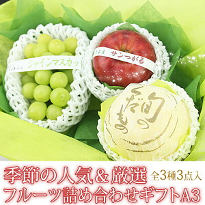 G߂ lCI t[c lߍ킹 Mtg A3iVC}XJbg Ԃ񂲁jԂǂ MtgnEB v[g a j j j oYj j 蕨  