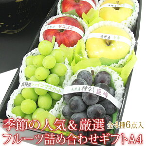 G߂̐lCI t[c lߍ킹 Mtg A4iԂǂ2EԂ2E2) Ԃǂ nEB Mtg v[g a j j j oYj j  