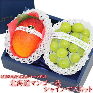 lC t[c {bNX VC}XJbg Y kC}S[ Ԃǂ Mtg Zbg 荇킹 yY a j j oYj j 蕨  䌩 މ@j