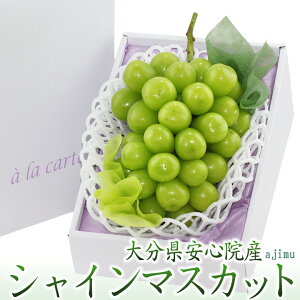 S@  VC}XJbg nEB ފ Ԃǂ t[c Mtg ăMtg lߍ킹 v[g yY a j j j oYj j 蕨  