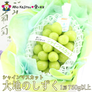 VC}XJbgyn̂z1[750gȏ (Y) x t[c Mtg lߍ킹 v[g yY a j j j oYj j 蕨  䌩 