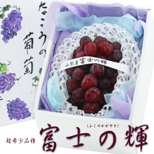 【富士の輝 ブラックシャインマスカット】高糖度 ぶどう 富士の輝き フルーツ ギフト 詰め合わせ ハロウィン お誕生日 お祝い 内祝い 出産内祝い 婚礼内祝い 贈り物 お礼 御見舞 お見舞い