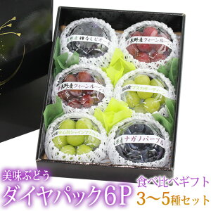 Y Ԃǂ _CpbN6P 3`5 Hה MtgZbgi1P100gȏ) x t[c Mtg nEB lߍ킹 v[g a j j oYj j 蕨 