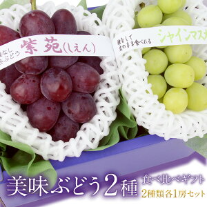 ([)Y  Ԃǂ 2 Hה MtgZbg iVC}XJbg/ j uhE t[c Mtg lߍ킹 yY a j j j oYj j 