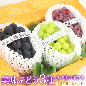 ܂ Y  Ȃ Ԃǂ 3 Hה MtgZbg(VC}XJbg/ ԂԂǂ/ Ԃǂ)  uhE t[c Mtg lߍ킹 ʕ yY a j j oY