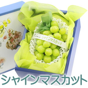 y|Cg10{zy VC}XJbgz1[ x Ԃǂ t[c Mtg lߍ킹 v[g yY a j j j oYj j 蕨  䌩