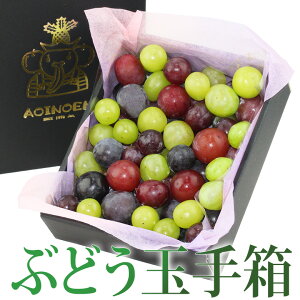【ぶどう玉手箱】(950g以上) お歳暮 お年賀 高糖度 ぶどう フルーツ ギフト ハロウィン 詰め合わせ プレゼント お誕生日 お祝い 内祝い 出産内祝い 婚礼内祝い 贈り物 お礼 御見舞 退院祝い
